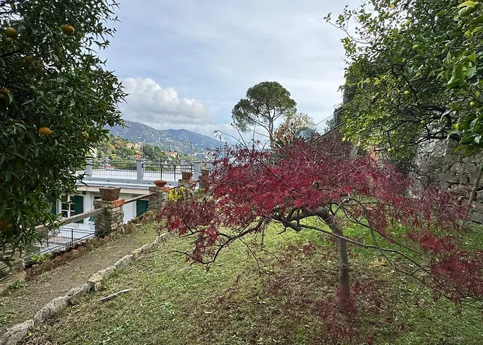 Appartamento The Castle - In Con Splendido Giardino Rapallo