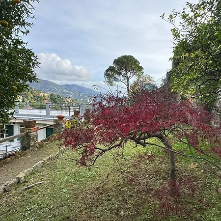 Lägenhet The Castle - In Con Splendido Giardino Rapallo